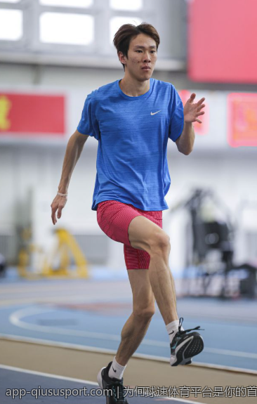 为何球速体育平台是你的首选运动助手